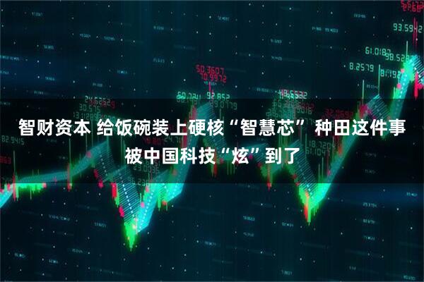 智财资本 给饭碗装上硬核“智慧芯” 种田这件事被中国科技“炫”到了
