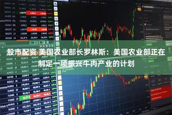 股市配资 美国农业部长罗林斯：美国农业部正在制定一项振兴牛肉产业的计划