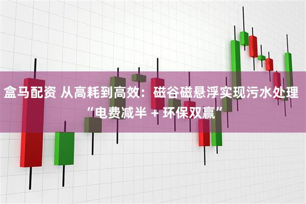 盒马配资 从高耗到高效：磁谷磁悬浮实现污水处理 “电费减半 + 环保双赢”