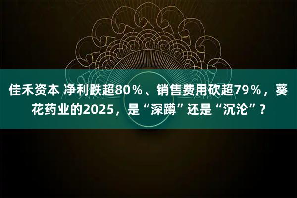 佳禾资本 净利跌超80％、销售费用砍超79％，葵花药业的2025，是“深蹲”还是“沉沦”？