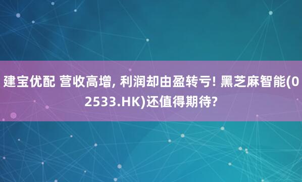 建宝优配 营收高增, 利润却由盈转亏! 黑芝麻智能(02533.HK)还值得期待?